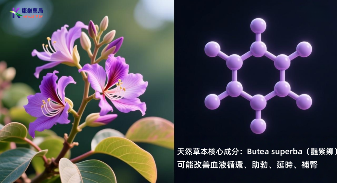 1765418696252370.png 00.0.0.0.png