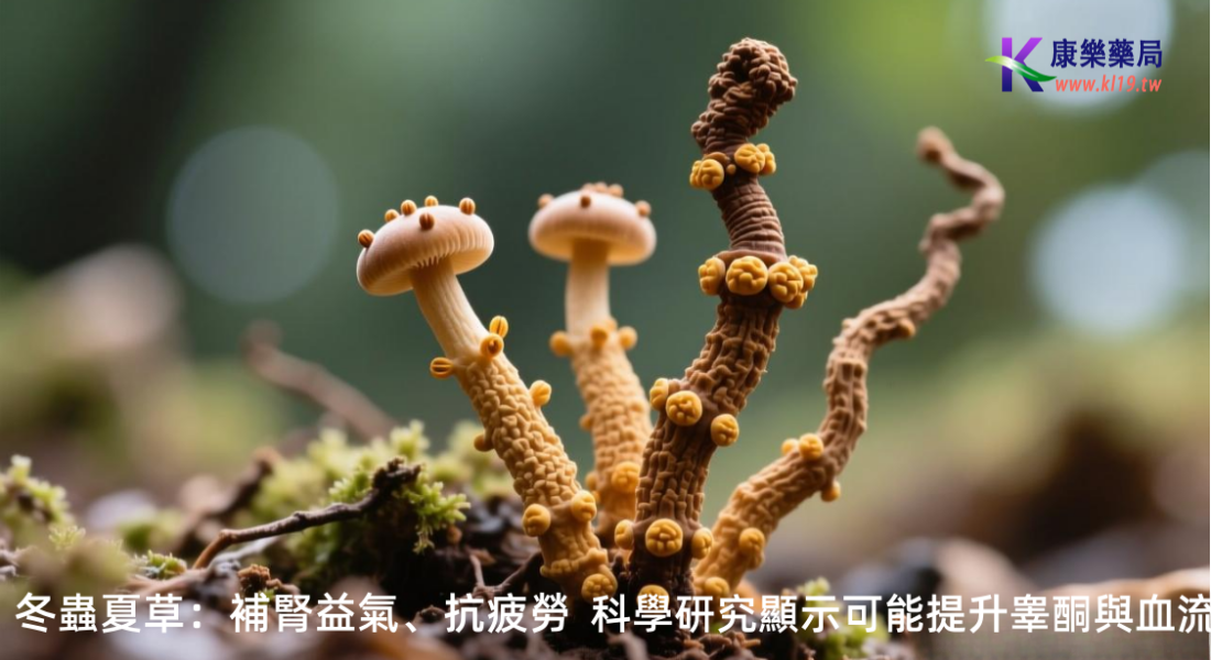 1765418991999222.png 111111本.png