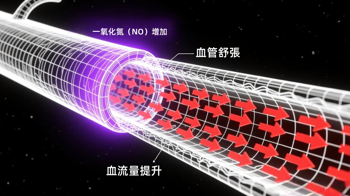 1765506291793857.png 332323本.png