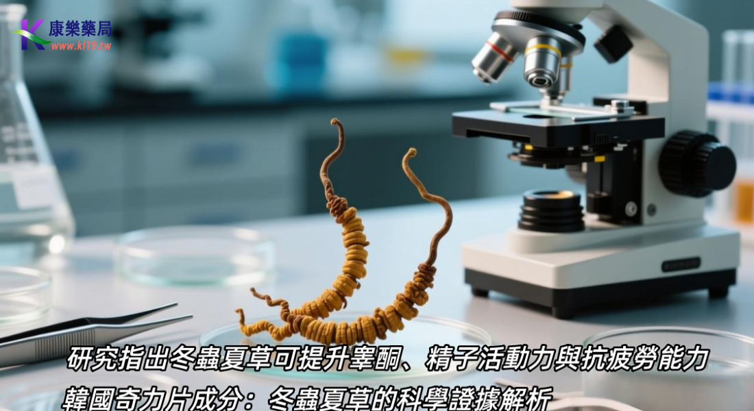 1765592342755121.png 2033.png