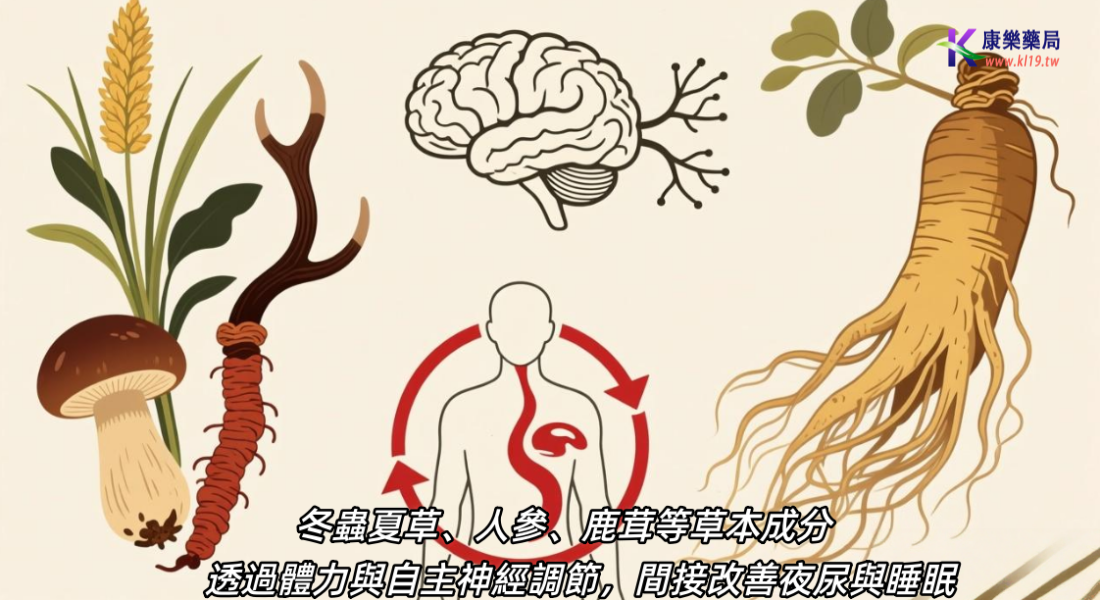 1765853500973272.png 0.00.00..0.0.png